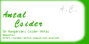 antal csider business card